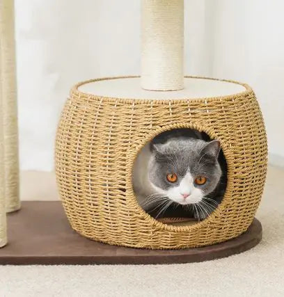 Cat Tree Tower
